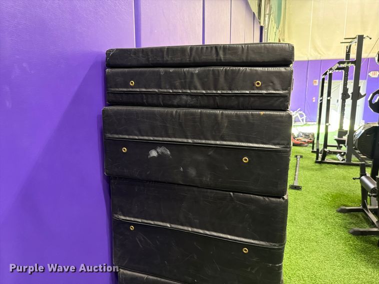 image for item EL1109 (2) sets of Alpha Dog plyo boxes