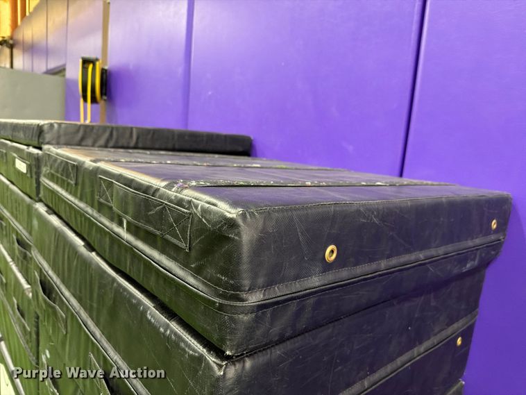 image for item EL1109 (2) sets of Alpha Dog plyo boxes