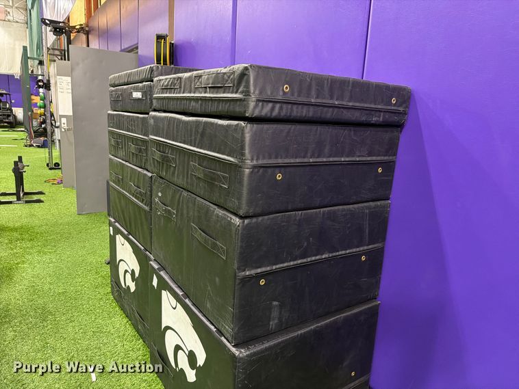 image for item EL1109 (2) sets of Alpha Dog plyo boxes