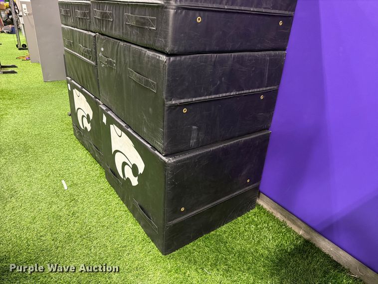 image for item EL1109 (2) sets of Alpha Dog plyo boxes