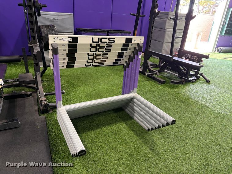 image for item EL1110 (7) UCS hurdles