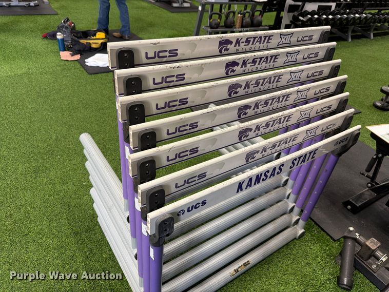 image for item EL1110 (7) UCS hurdles