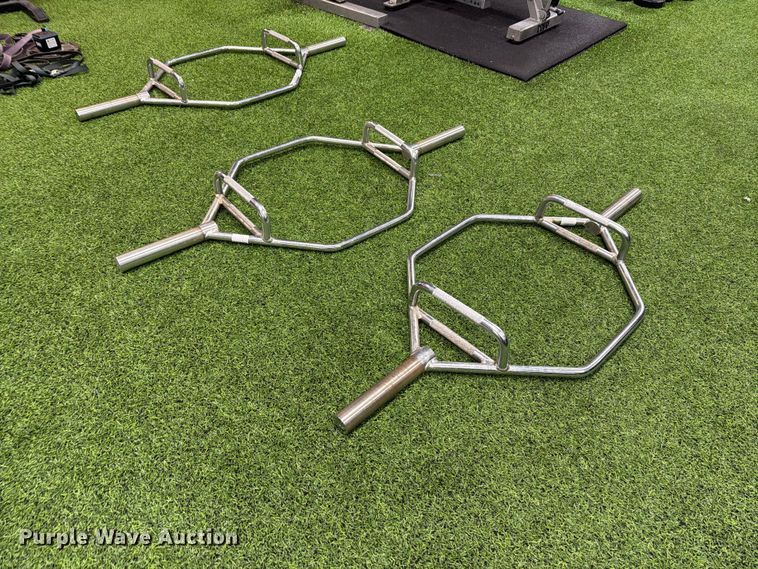 image for item EL1111 (3) trap-hex bars
