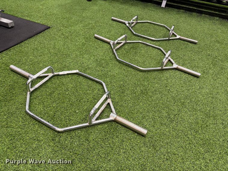 image for item EL1111 (3) trap-hex bars