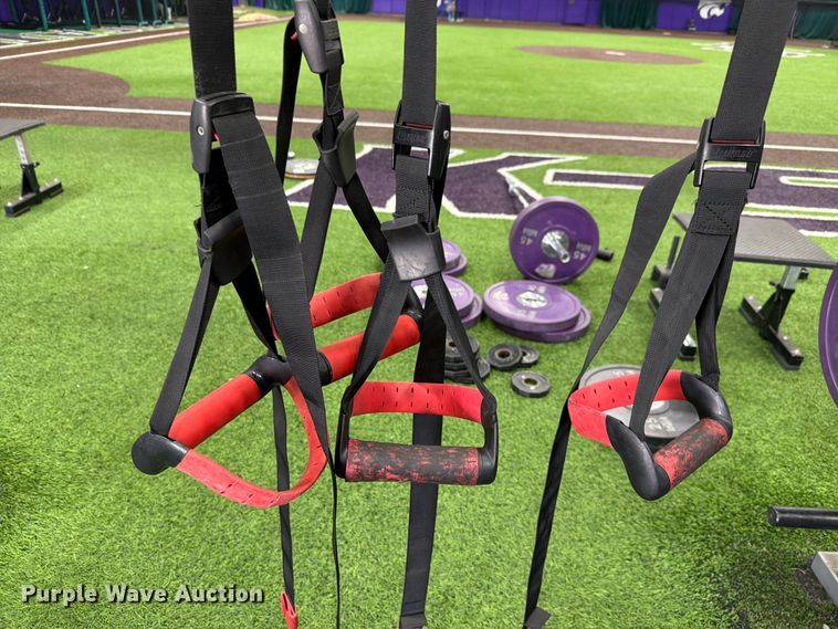 image for item EL1113 (7) pairs of Life Fitness suspension straps