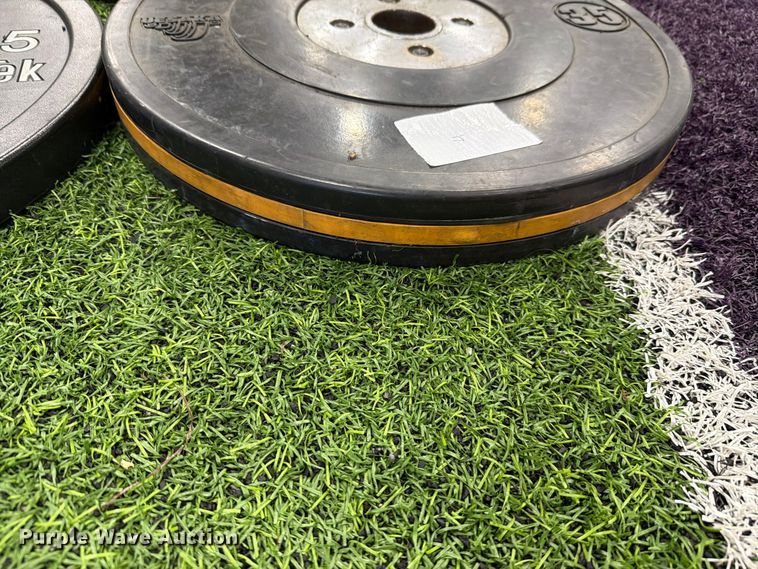 image for item EL1114 Weight lifting equipment