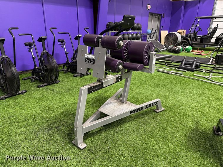 image for item EL1117 Power Lift glute extension machine