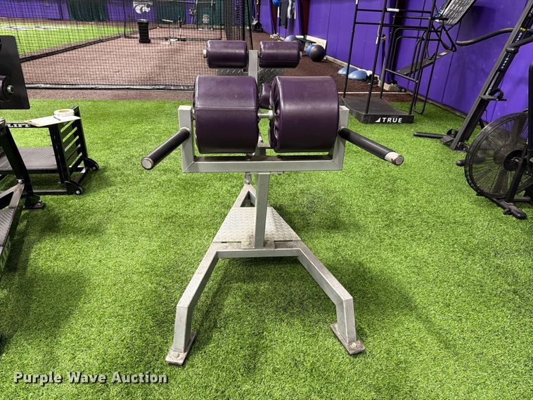 image for item EL1117 Power Lift glute extension machine