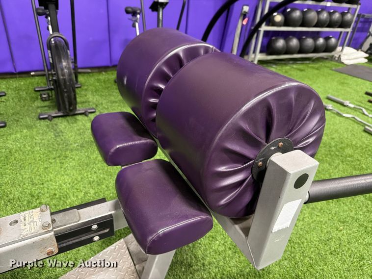image for item EL1117 Power Lift glute extension machine