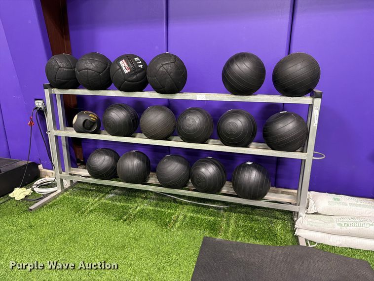 image for item EL1118 Medicine balls with rack