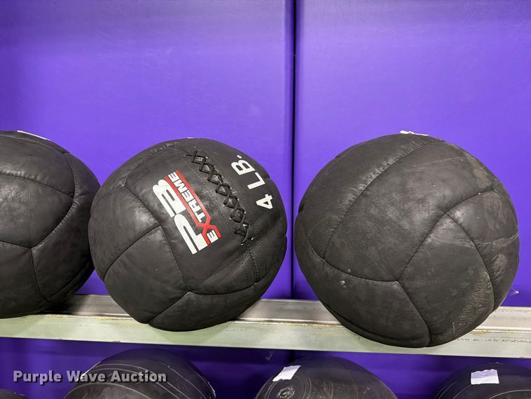 image for item EL1118 Medicine balls with rack
