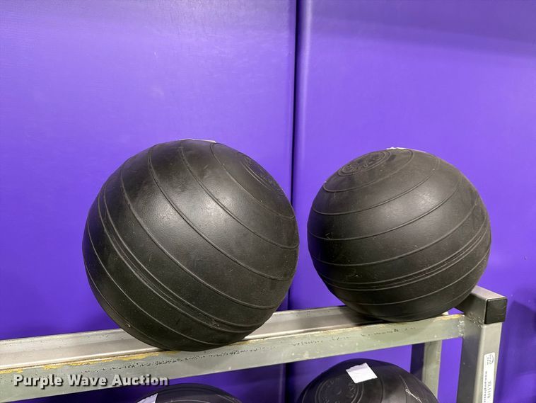 image for item EL1118 Medicine balls with rack