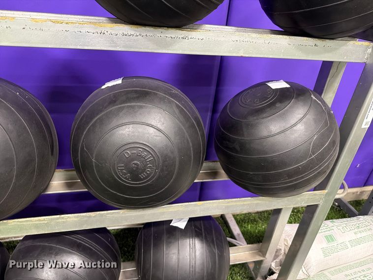 image for item EL1118 Medicine balls with rack