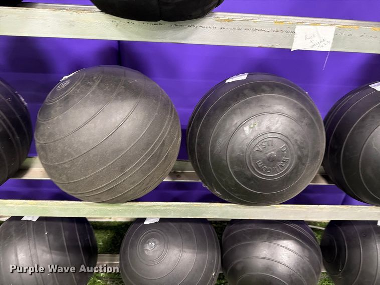 image for item EL1118 Medicine balls with rack
