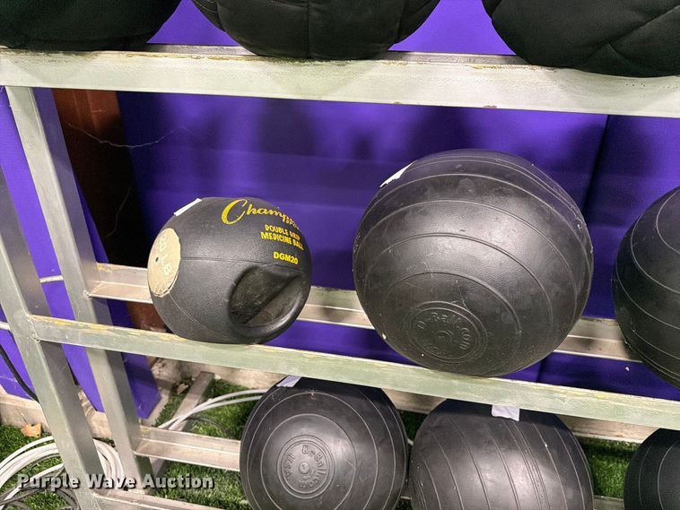 image for item EL1118 Medicine balls with rack