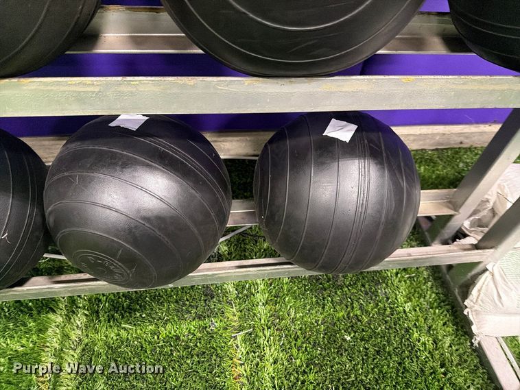image for item EL1118 Medicine balls with rack