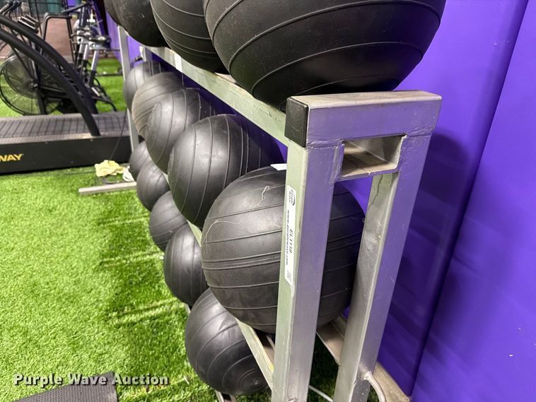 image for item EL1118 Medicine balls with rack