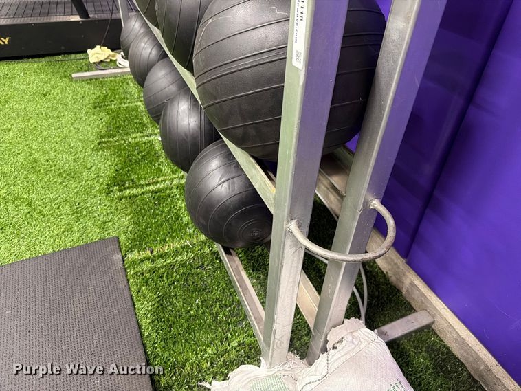 image for item EL1118 Medicine balls with rack