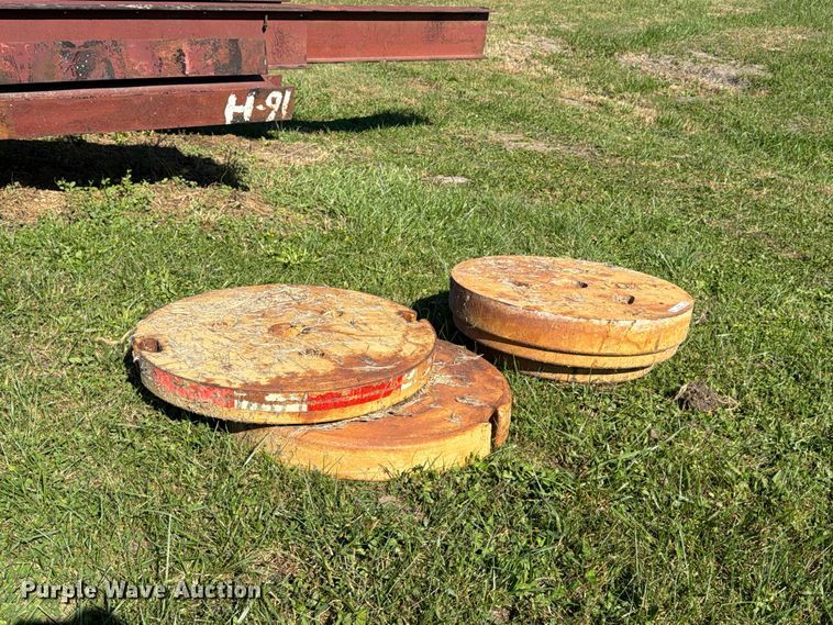 image for item EX1097 Tiger (3) wheel weights