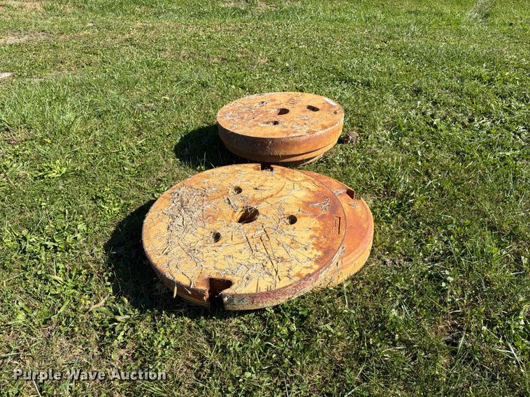 image for item EX1097 Tiger (3) wheel weights