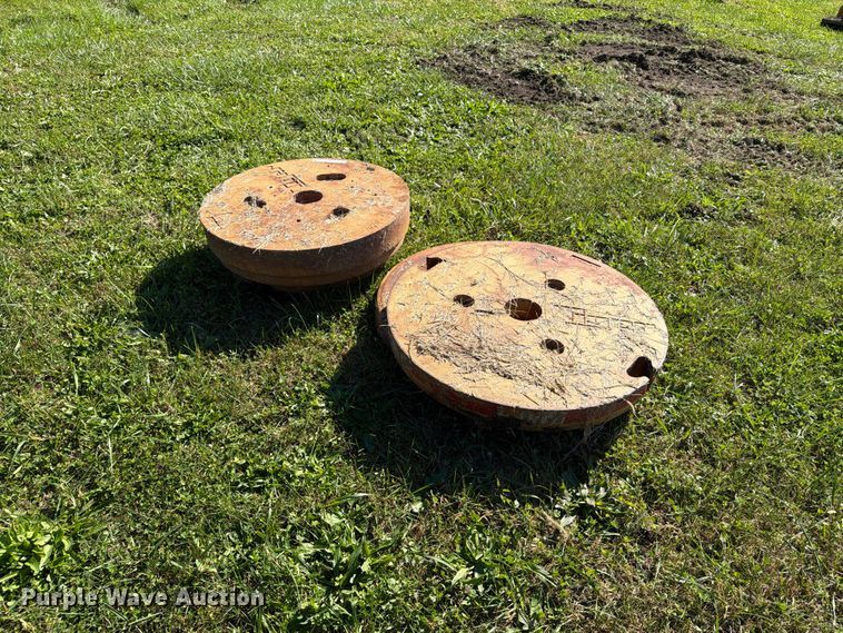 image for item EX1097 Tiger (3) wheel weights