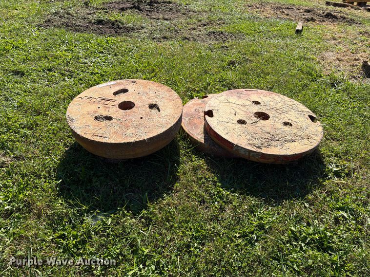 image for item EX1097 Tiger (3) wheel weights
