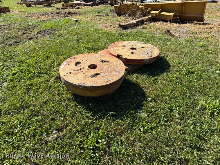 image for item EX1097 Tiger (3) wheel weights