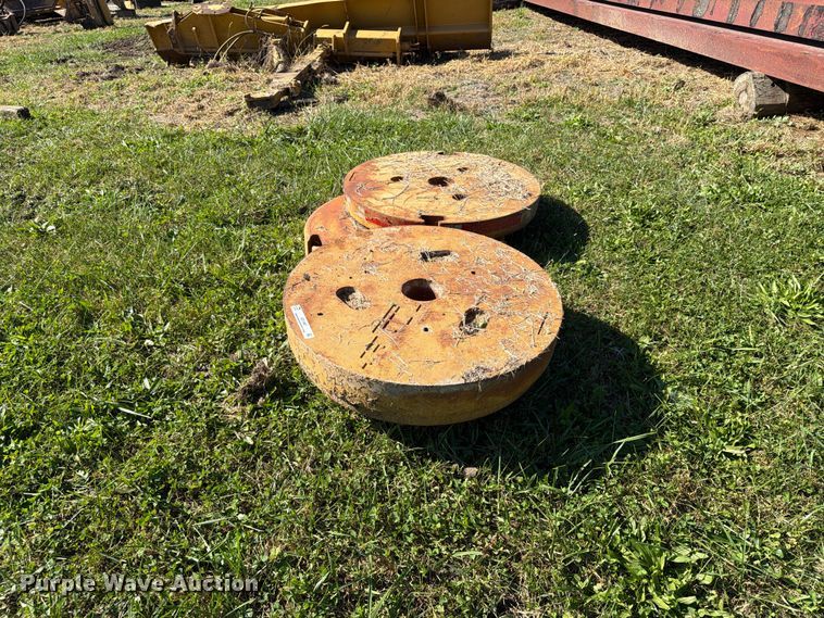 image for item EX1097 Tiger (3) wheel weights