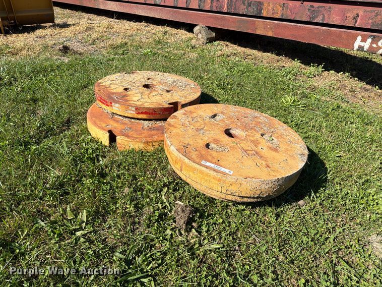 image for item EX1097 Tiger (3) wheel weights