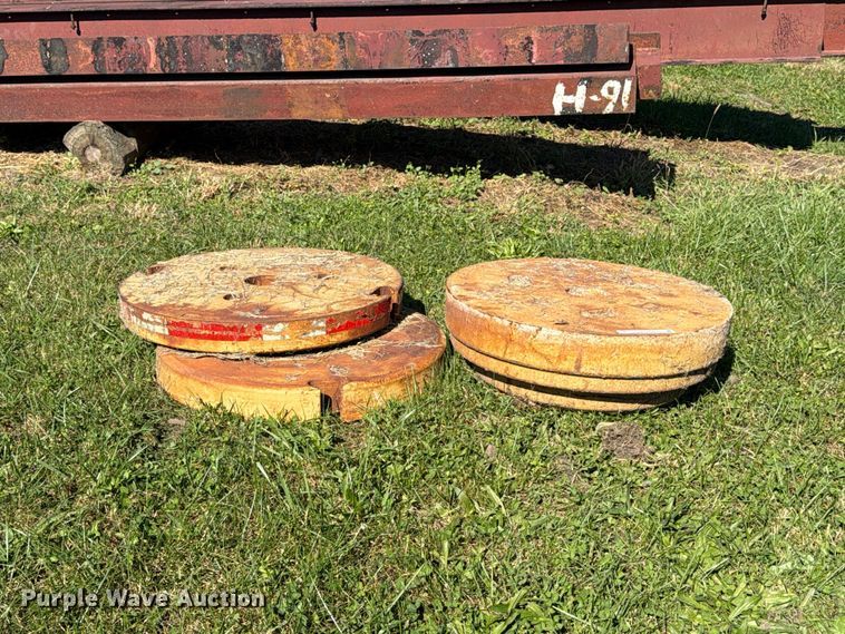 image for item EX1097 Tiger (3) wheel weights