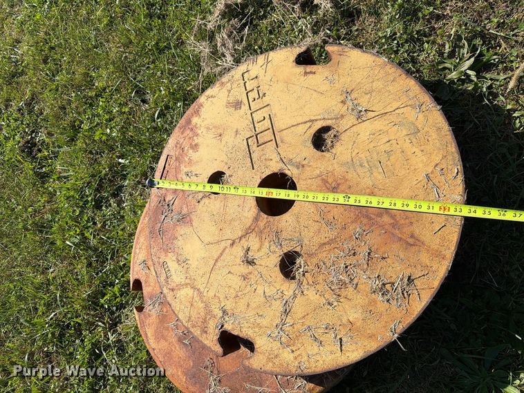 image for item EX1097 Tiger (3) wheel weights