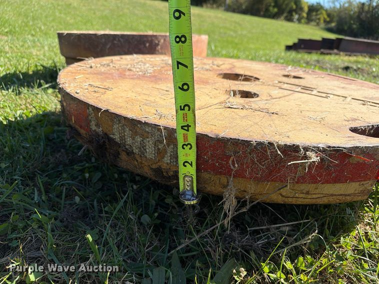 image for item EX1097 Tiger (3) wheel weights