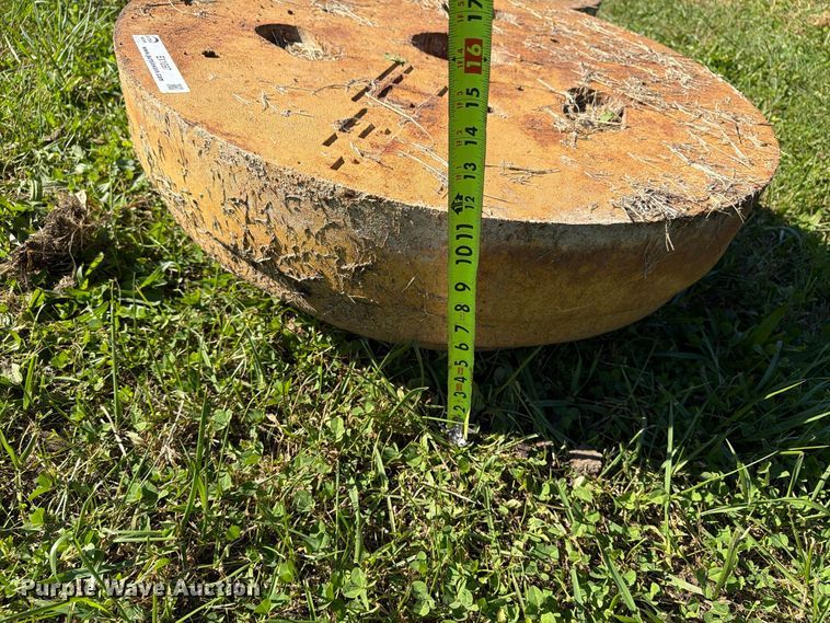 image for item EX1097 Tiger (3) wheel weights
