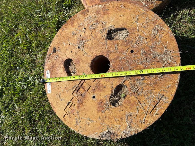 image for item EX1097 Tiger (3) wheel weights