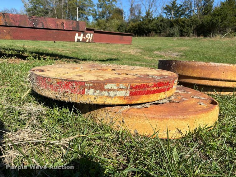 image for item EX1097 Tiger (3) wheel weights