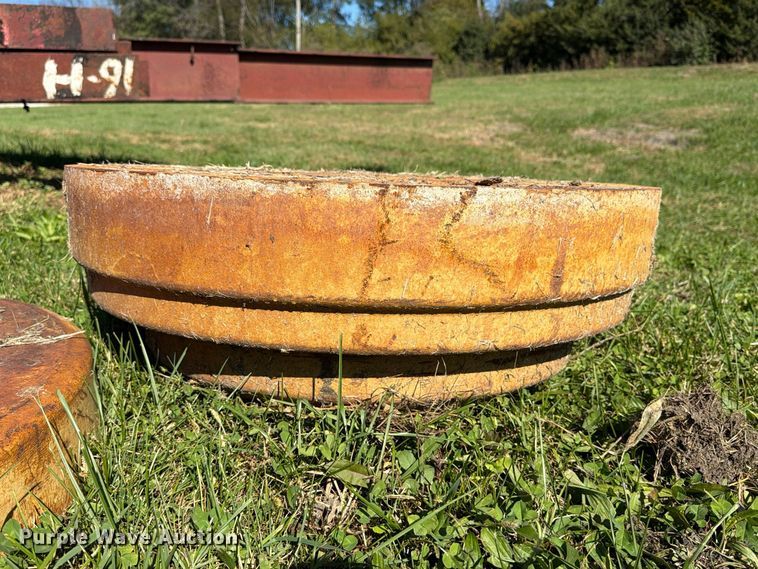 image for item EX1097 Tiger (3) wheel weights