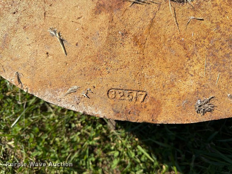 image for item EX1097 Tiger (3) wheel weights