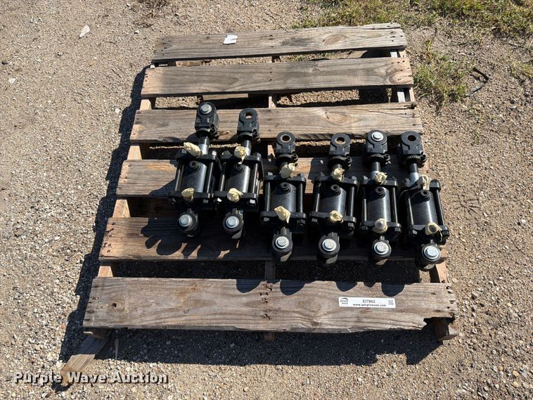 image for item EI7862 (6) hydraulic cylinders