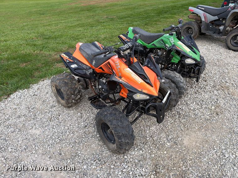 image for item EX1063 (2) 2018 Tiking Fast 8A