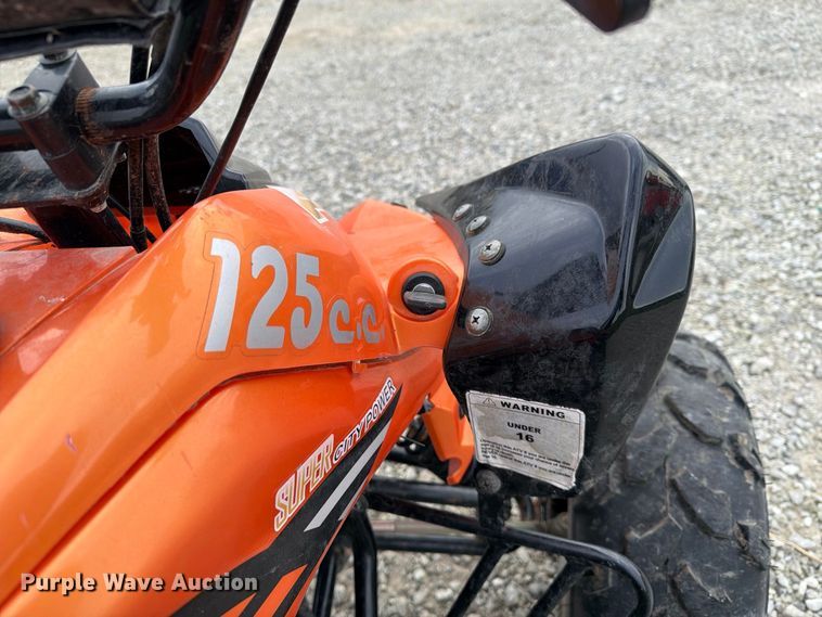 image for item EX1063 (2) 2018 Tiking Fast 8A