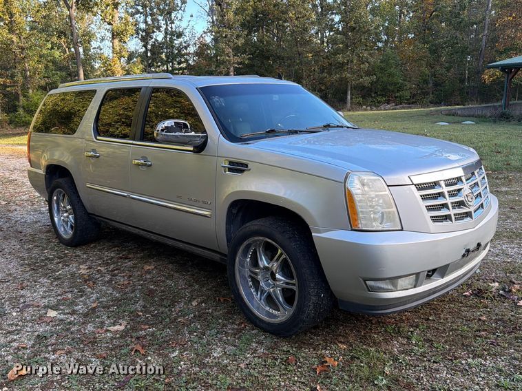 image for item FG0818 2010 Cadillac Escalade SUV