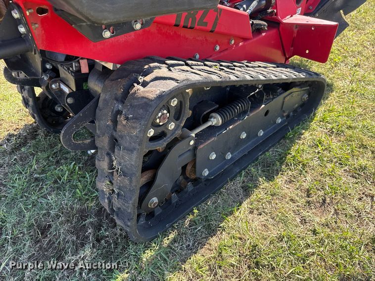 image for item FV2062 Barreto 30-SG stump grinder