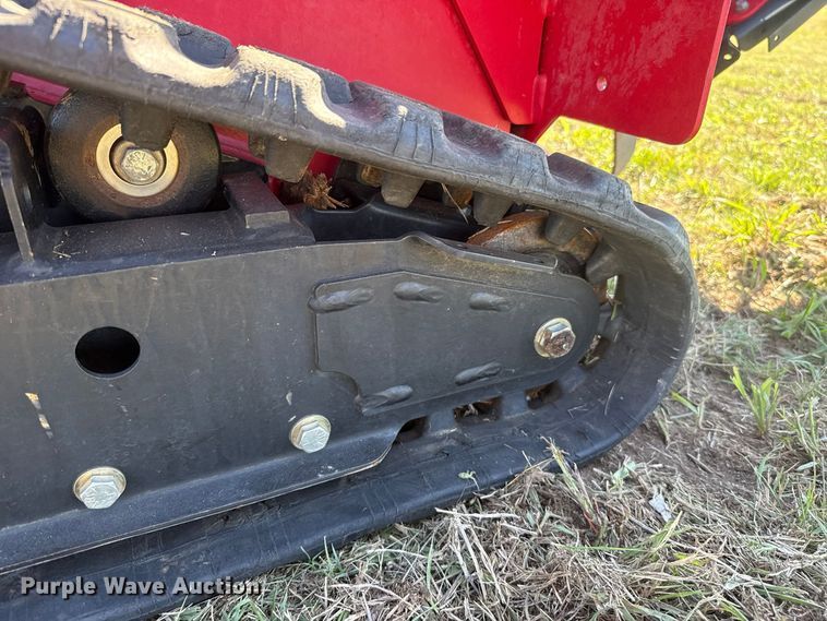 image for item FV2071 Barreto 30-SG stump grinder