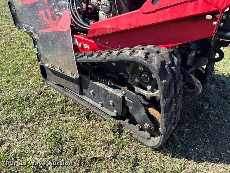 image for item FV2074 Barreto 30-SG stump grinder