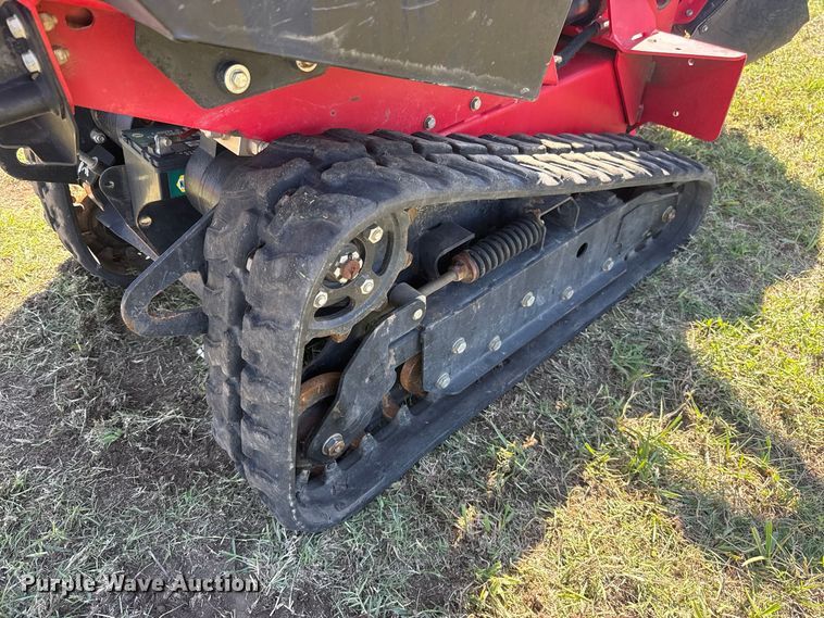 image for item FV2074 Barreto 30-SG stump grinder