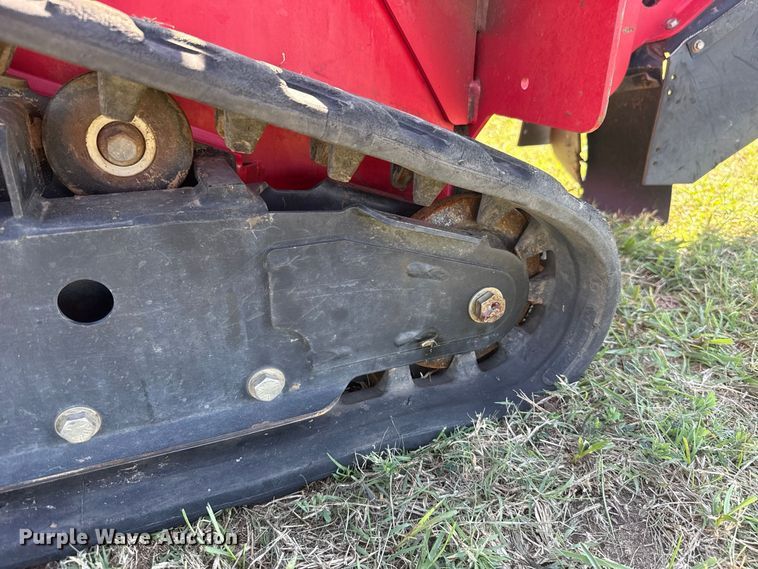 image for item FV2074 Barreto 30-SG stump grinder