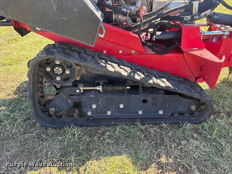 image for item FV2075 Barreto 30-SG stump grinder