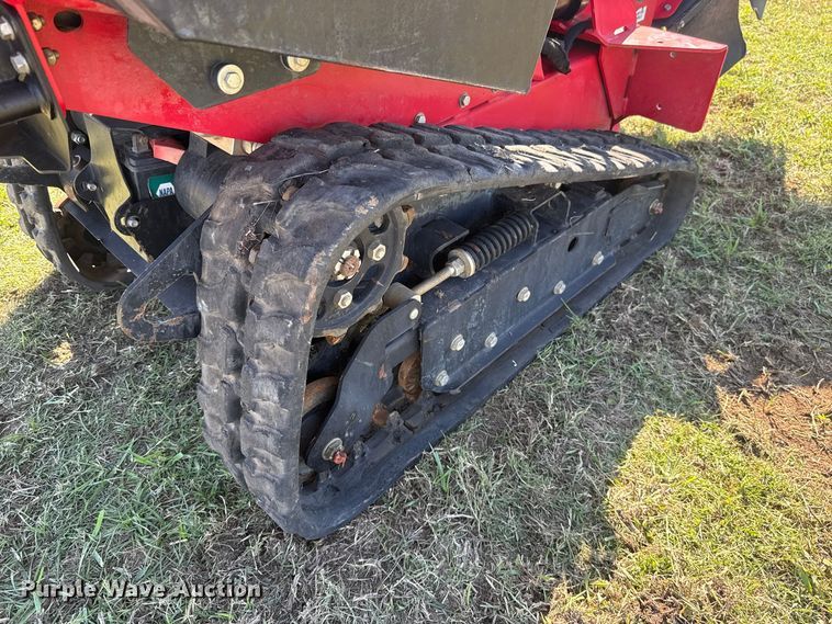 image for item FV2075 Barreto 30-SG stump grinder