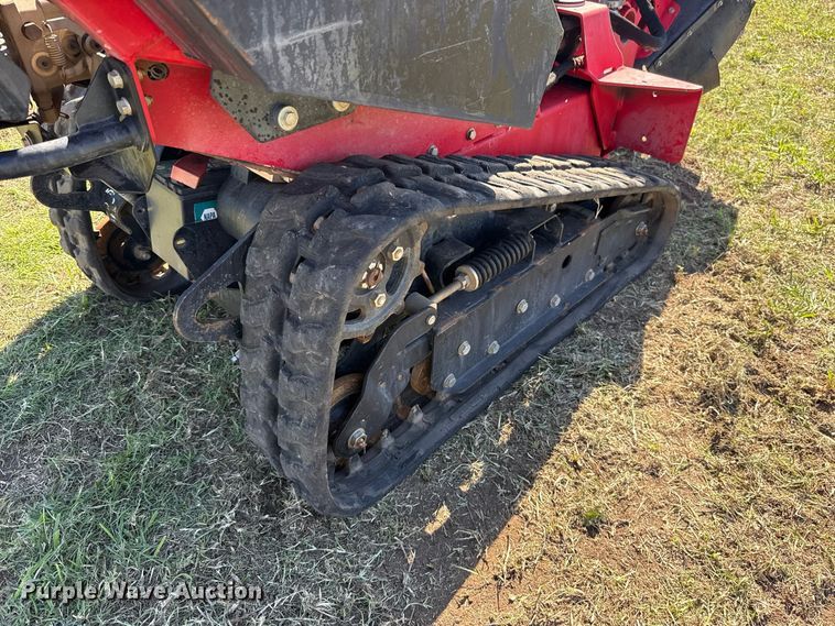 image for item FV2080 Barreto 30-SG stump grinder