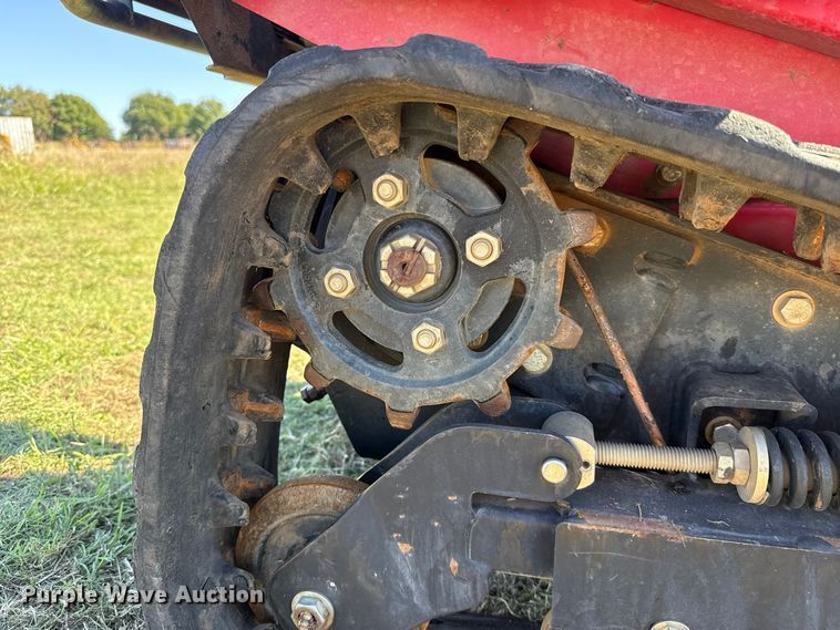 image for item FV2080 Barreto 30-SG stump grinder